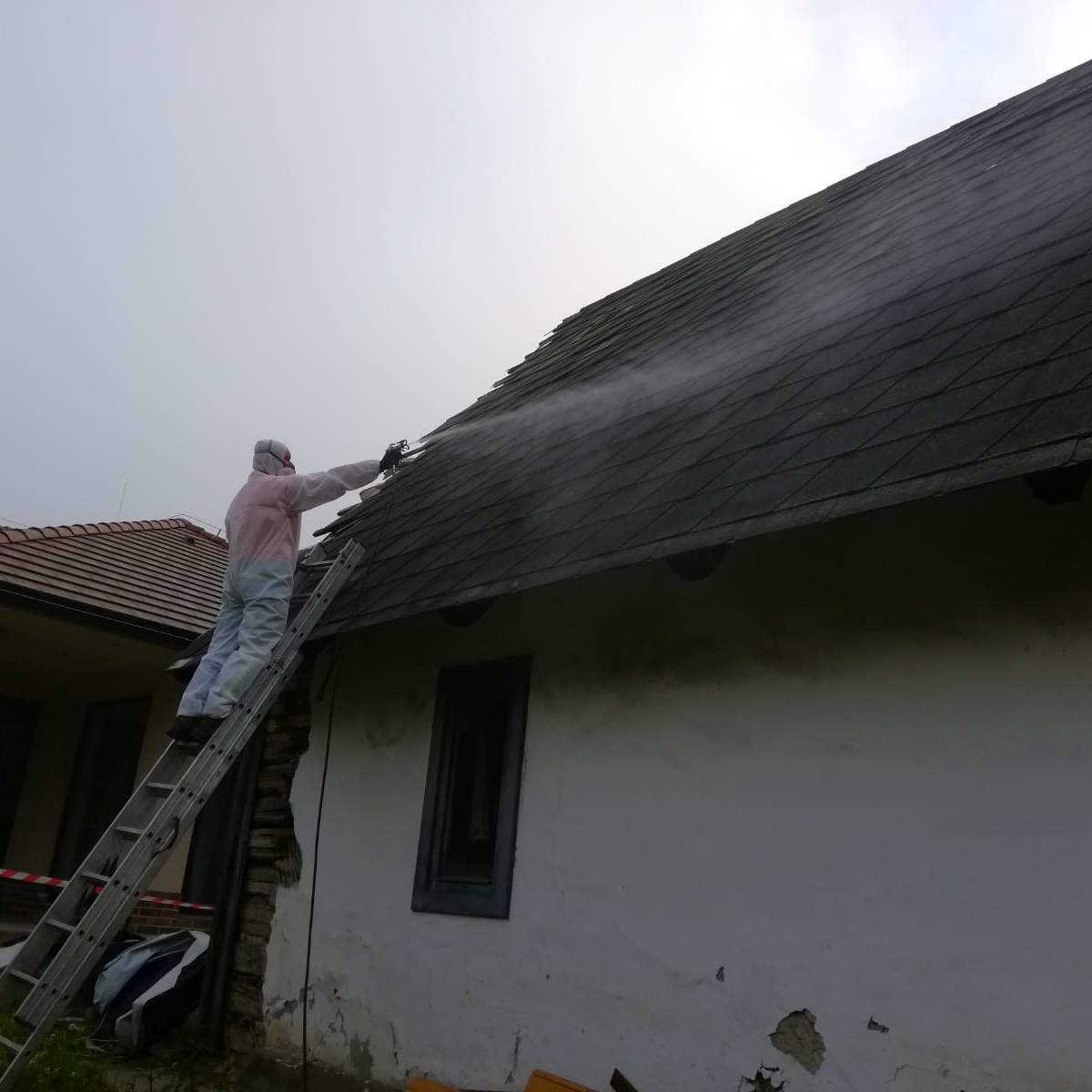 IMG-20210602-WA0005